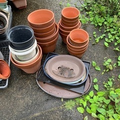 【決定しました】植木鉢各種