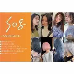 ソグ(sog) アシスタント募集中!の画像