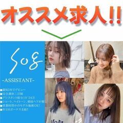 ソグ(sog) 美容師（新卒）募集中!の画像