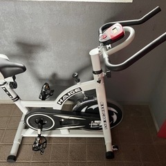 断捨離ハイガースピンバイク美品の画像