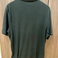 polo T-シャツの画像