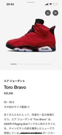 ジョーダン6 Toro Bravo