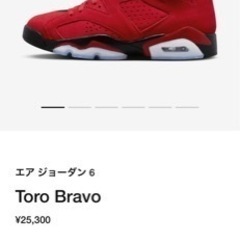 ジョーダン6 Toro Bravo