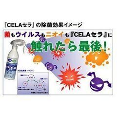■毎週製造・手渡し価格■安全・安心の消臭・除菌・ウィルス対策／弱酸性次亜塩素酸水『CELAセラ』4L×2本＋おまけ付／pH6.5・濃度60ppm■の画像