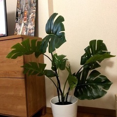 イケア　観葉植物　フェイク