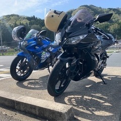 ninja250r 限定価格