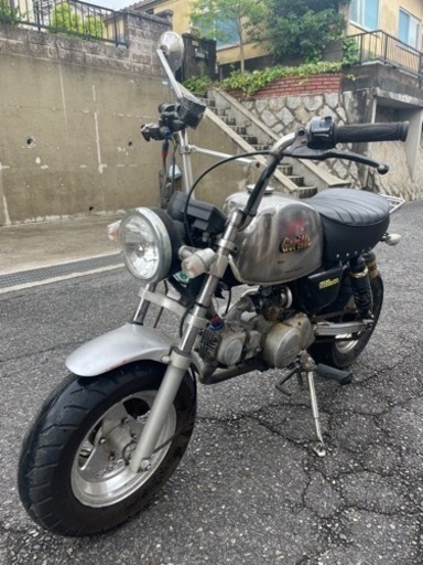 ゴリラ50 決まりました！