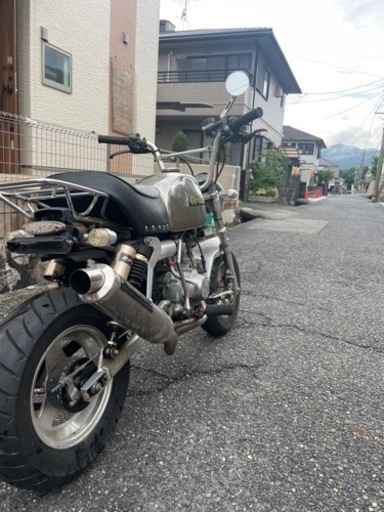 ゴリラ50 決まりました！