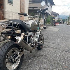ゴリラ50 決まりました！の画像