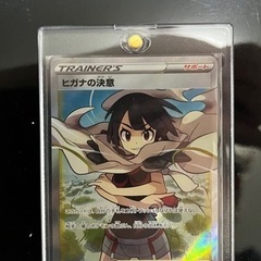 ヒガナの決意sr