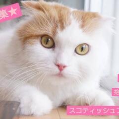 里親様決定 ｱﾘｶﾞﾄｳｺﾞｻﾞｲﾏｼﾀ!!😽ｽｺﾃｨｯｼｭﾌｫ...