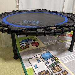 オアシストランポリン【取引中】の画像