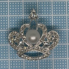 ⭐️ジビッツ⭐️ crocs クロックス アクセサリー キラキラ...