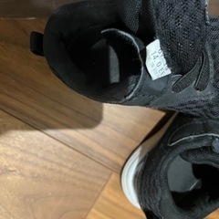 チャンピオン スニーカー 14cmの画像