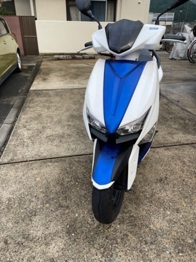 シグナスグリファス　ワンオーナー