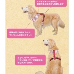 お買い得★犬用！バンダナ付きハーネス　の画像