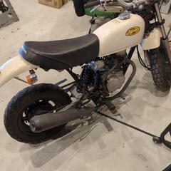 APE50 エイプ50 の画像