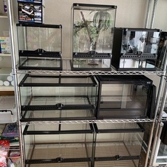 パンテオンの中古が安い！激安で譲ります・無料であげます(7