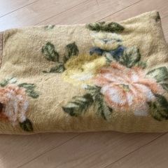 シングル毛布(７月まで)
