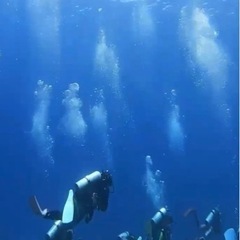 9/2〜9/3に鹿児島にダイビングに行きませんか？