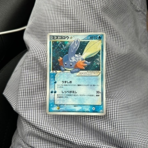 ミズゴロウ　スター(色違い) 033/084☆