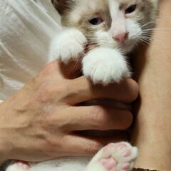 超元気なハチャメチャ女子！