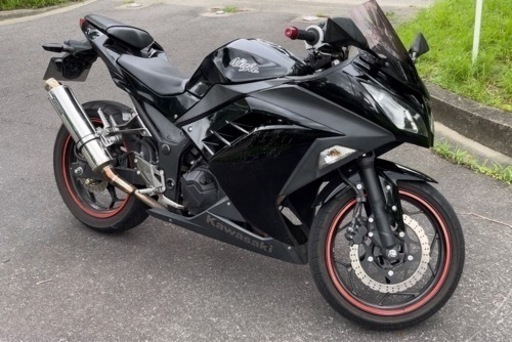 ninja 250 ニンジャ 250 バイク カワサキ セル1発始動