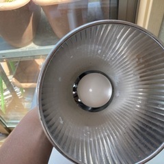 ライト　カミハタヴォルテス　1個の画像