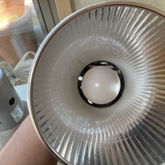 ライト　カミハタヴォルテス　1個の画像