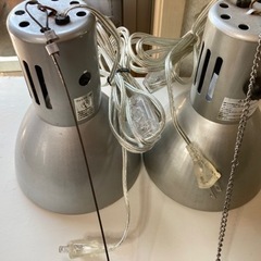 ライト　カミハタヴォルテス　1個