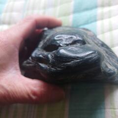 日本真ギョクの画像