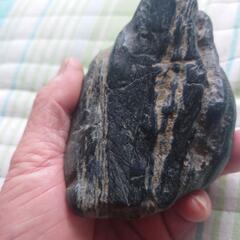 日本真ギョクの画像