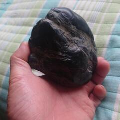 日本真ギョクの画像