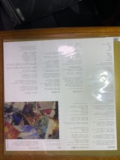 アナログ　Nakamura emi vol.4