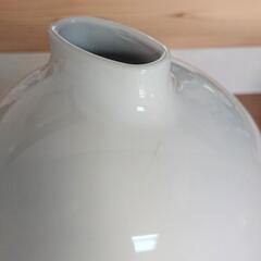 ペーパーポットの画像