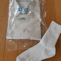 学生用半袖Yシャツ
