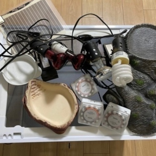 【備品付き】鍵付き飼育ケース　ガラスゲージ　爬虫類用　60×45