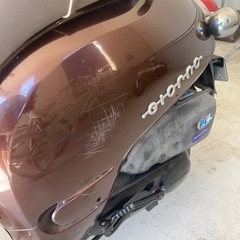 HONDA ジョルノの画像