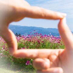 写真と動画の撮影、編集を楽しむ友達募集