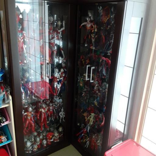 高級コレクション棚