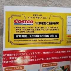 コストコ1日特別ご招待券1枚★NO2★