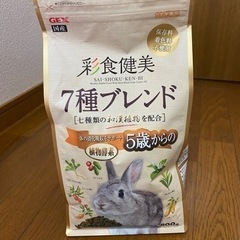 うさぎお世話セットの画像