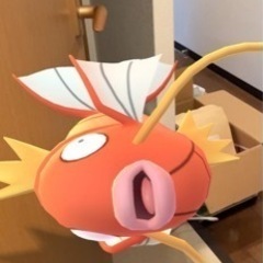 ポケモンカードやりたい！！ - 友達