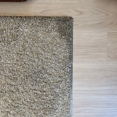 カーペットの画像