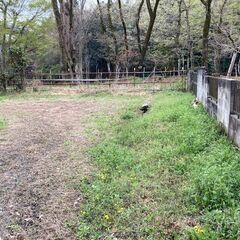 東京都あきる野市丨土地丨売買丨600万円丨建築条件なし丨農地丨更地丨駅徒歩12分 - 不動産