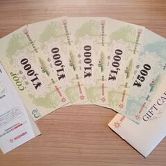 【宮城県】日専連MELON商品券4500円