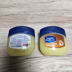 日本未発売【Vaseline(ヴァセリン)】 ペトロリウムジェリ...
