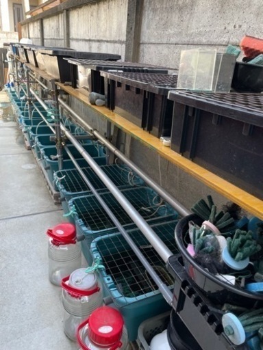 メダカ飼育棚セット（単管パイプ）+ NVボックス13 13個