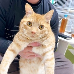 里親さん決まりました