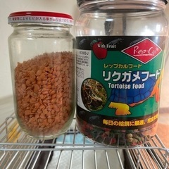 爬虫類飼育用品の画像